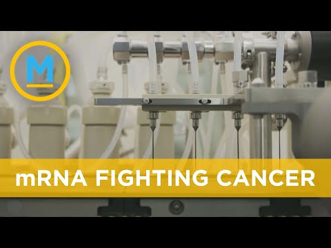 BioNtech-developed mRNA &#039;cocktail&#039; showing promise in suppressing cancer | Your Morning