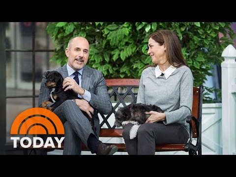 Adopt A Pet TODAY! Best Advice For Finding The Right Furry Friend For You | TODAY