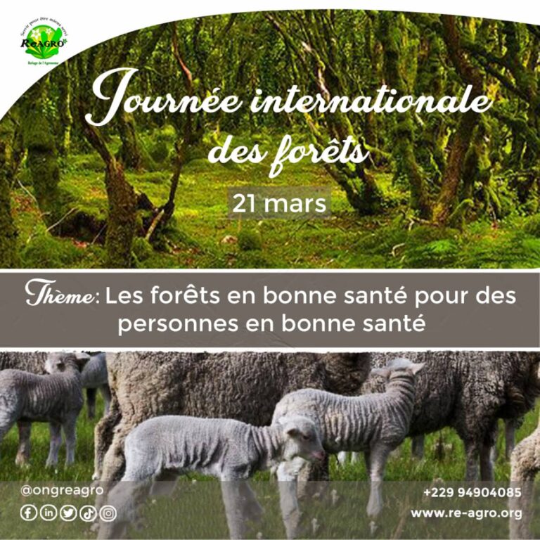 Journée Internationale des Forêts 2023